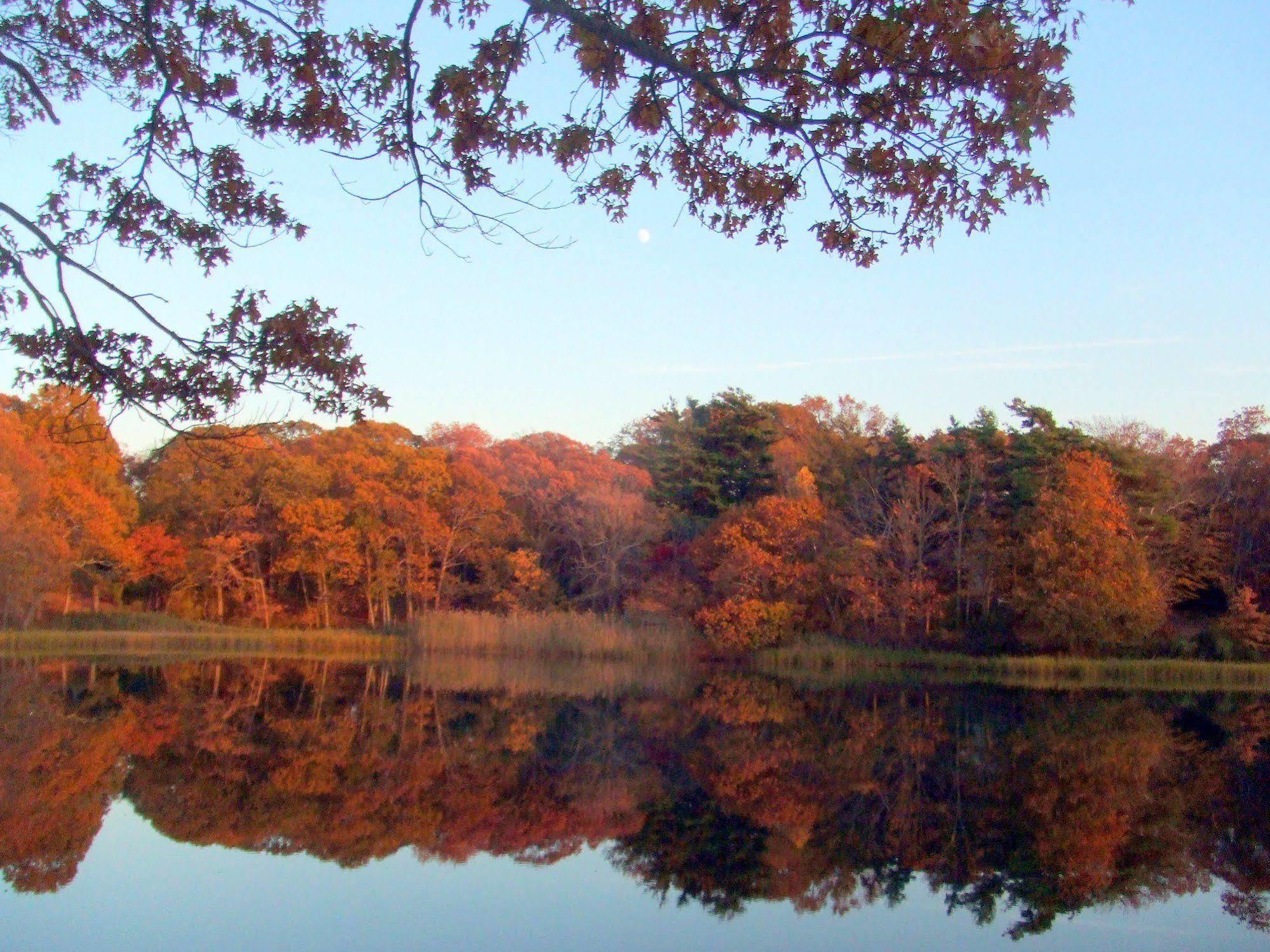 House On Chase Creek Bed and Breakfast Shelter Island Heights Eksteriør billede
