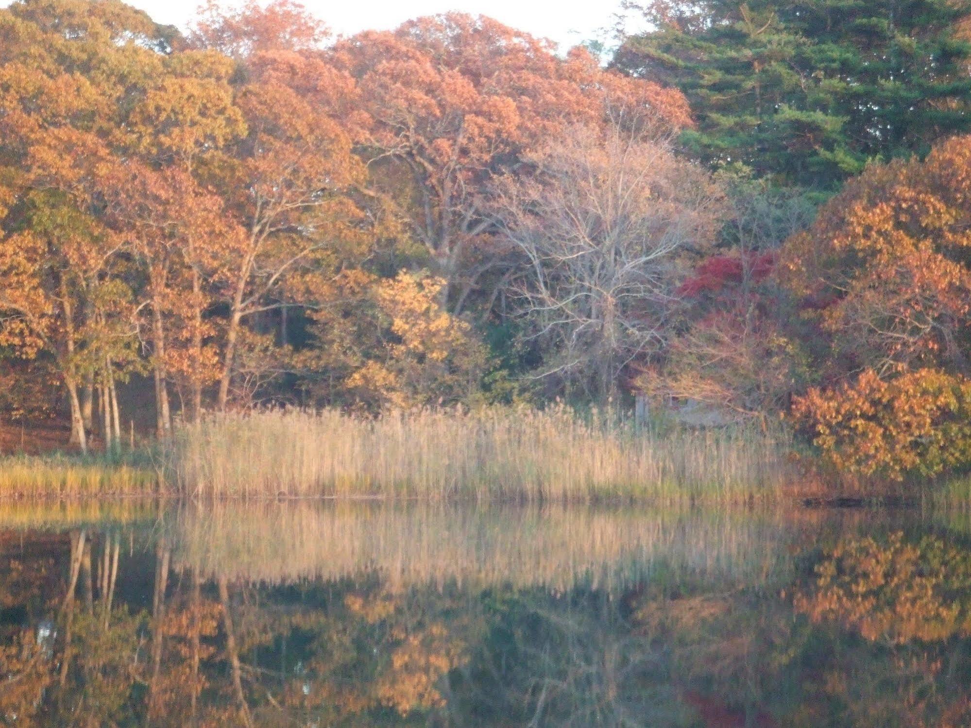 House On Chase Creek Bed and Breakfast Shelter Island Heights Eksteriør billede