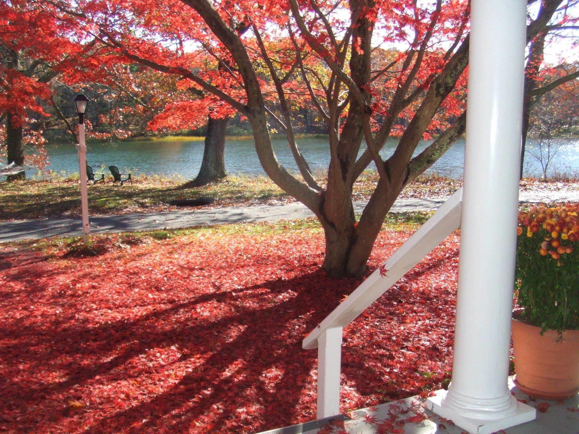 House On Chase Creek Bed and Breakfast Shelter Island Heights Eksteriør billede